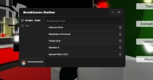 Brookhaven: Different hubs Script